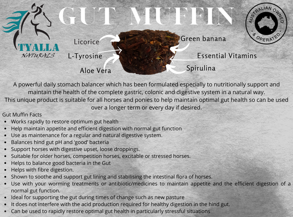 Gut Muffin