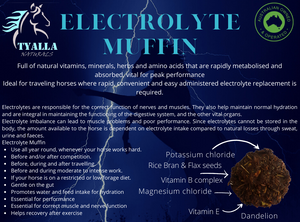 Electrolyte Muffin