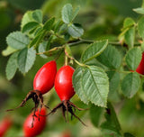 Rosehip Granules